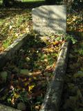 image of grave number 290188